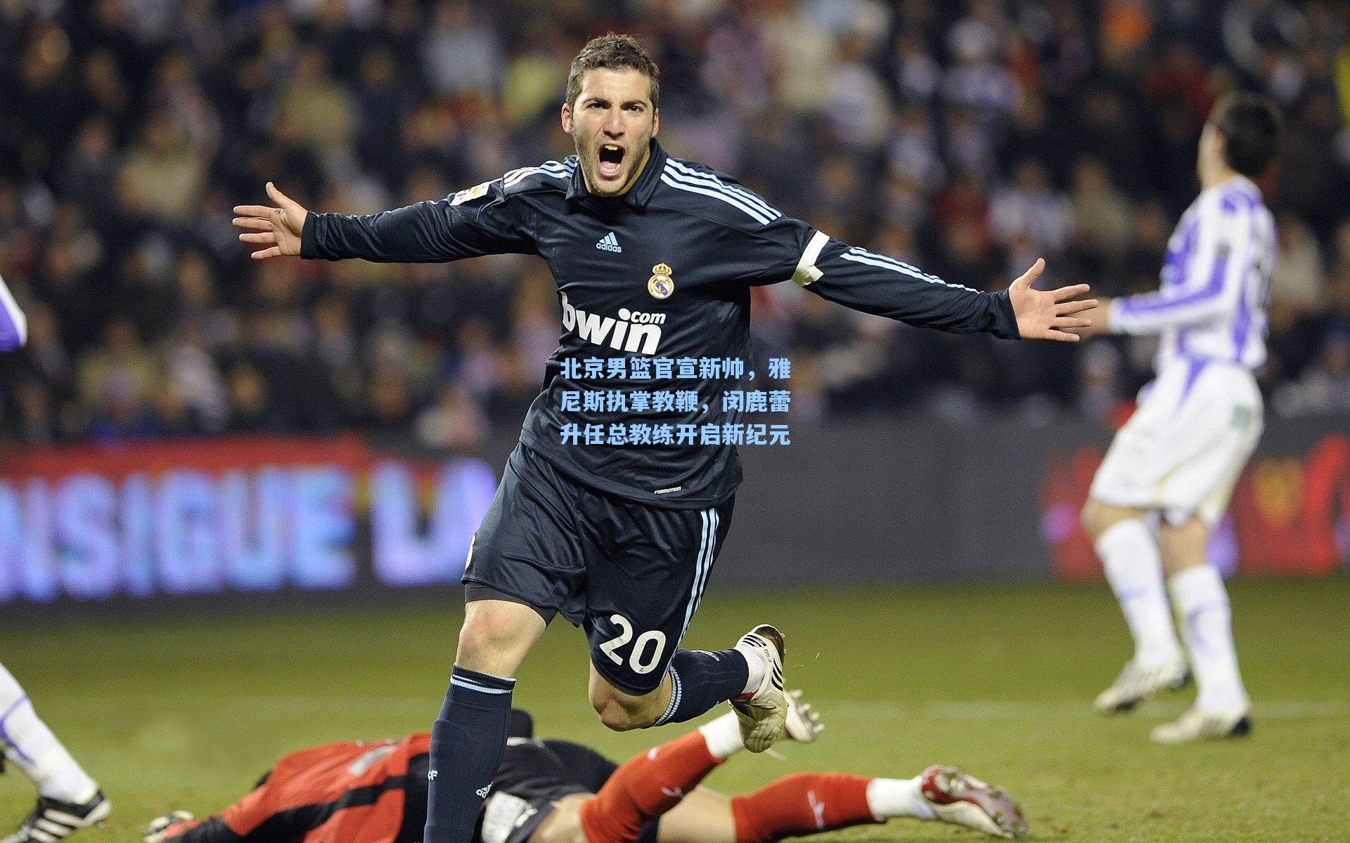 北京男篮官宣新帅,雅尼斯执掌教鞭,闵鹿蕾升任总教练开启新纪元